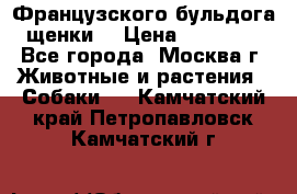 Французского бульдога щенки  › Цена ­ 35 000 - Все города, Москва г. Животные и растения » Собаки   . Камчатский край,Петропавловск-Камчатский г.